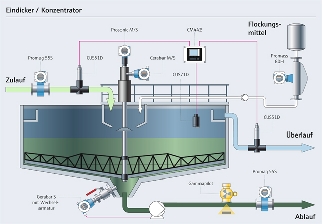 Infographic