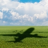 Shadow of plane on the agricultural field