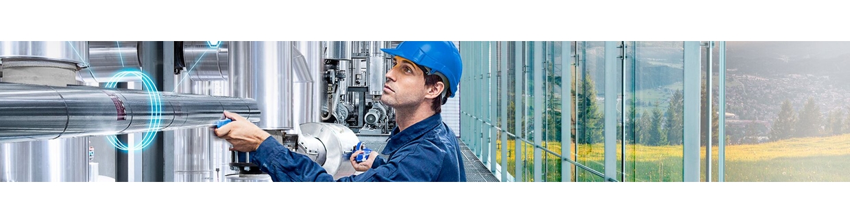 Endress+Hauser SICK GmbH+Co. KG production expertise