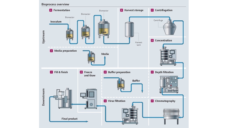 Detailed bioprocess illustration