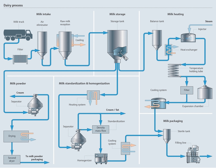 Milk processing from milk intake to packaging