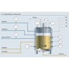 fermentation process