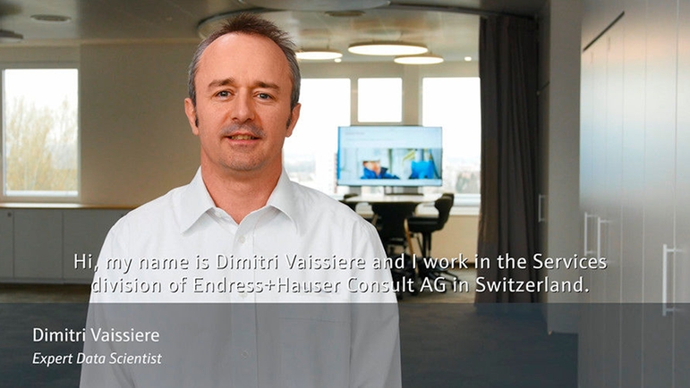 Discover Your Potential Endress Hauser