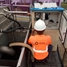 Man working on Liquistation