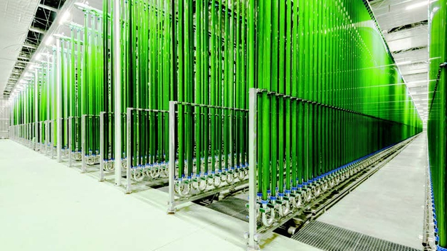 Industrial algae production in photo-bioreactors