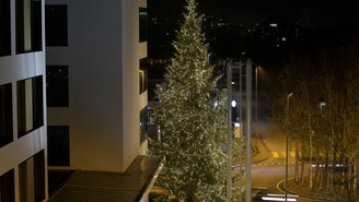 Bei Endress+Hauser in Reinach wird ein Weihnachtsbaum erstrahlen.