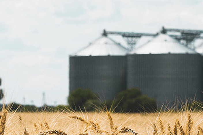 Eine typische mehrere Silos umfassende Anlage zur Lebensmittellagerung, beispielsweise Getreide