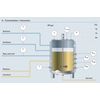 Fermentation in a bioreactor and the related measuring points