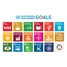 Die Ziele der Vereinten Nationen für eine nachhaltige Entwicklung