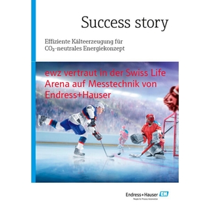 Titelblatt ews Erfolgsstory